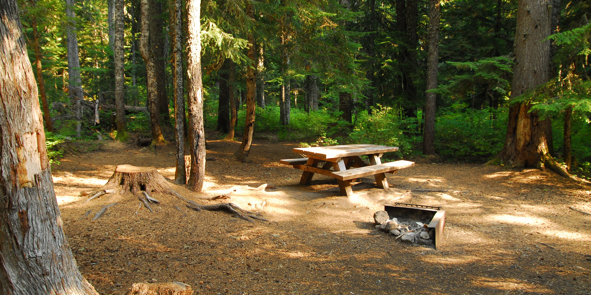 Baker Lake, Panorama Point Campground Mount BakerSnoqualmie National