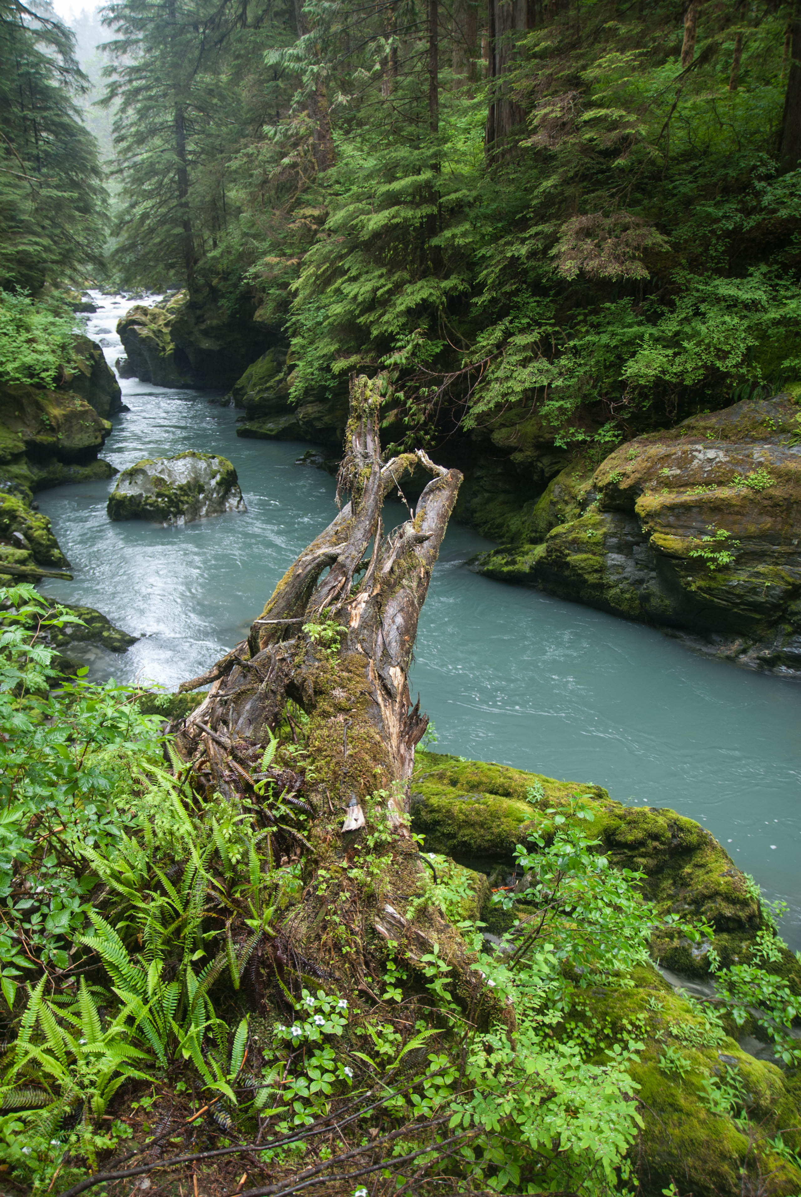 Boulder River Trail