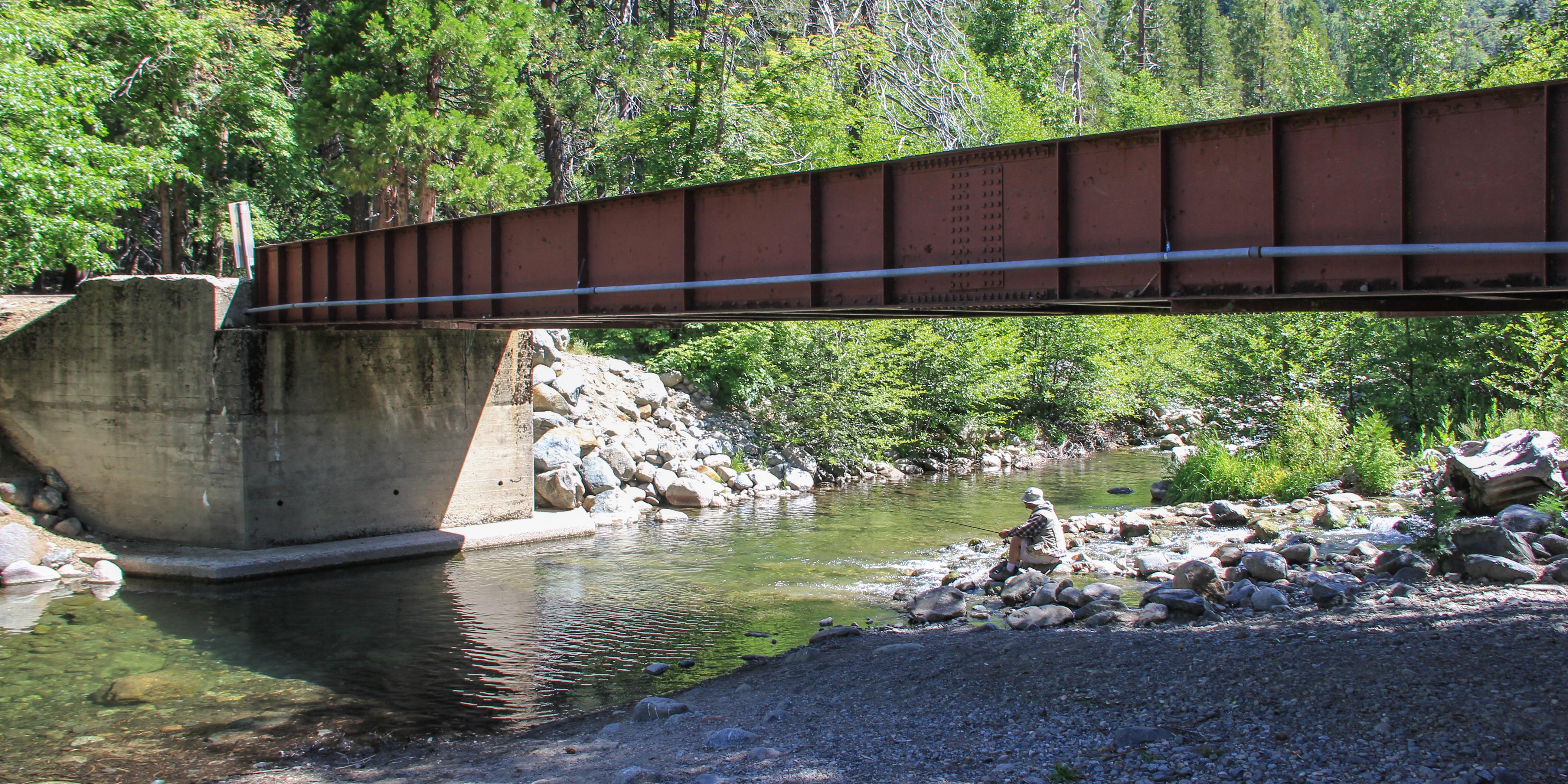 Wild Plum Campground - Camping In California