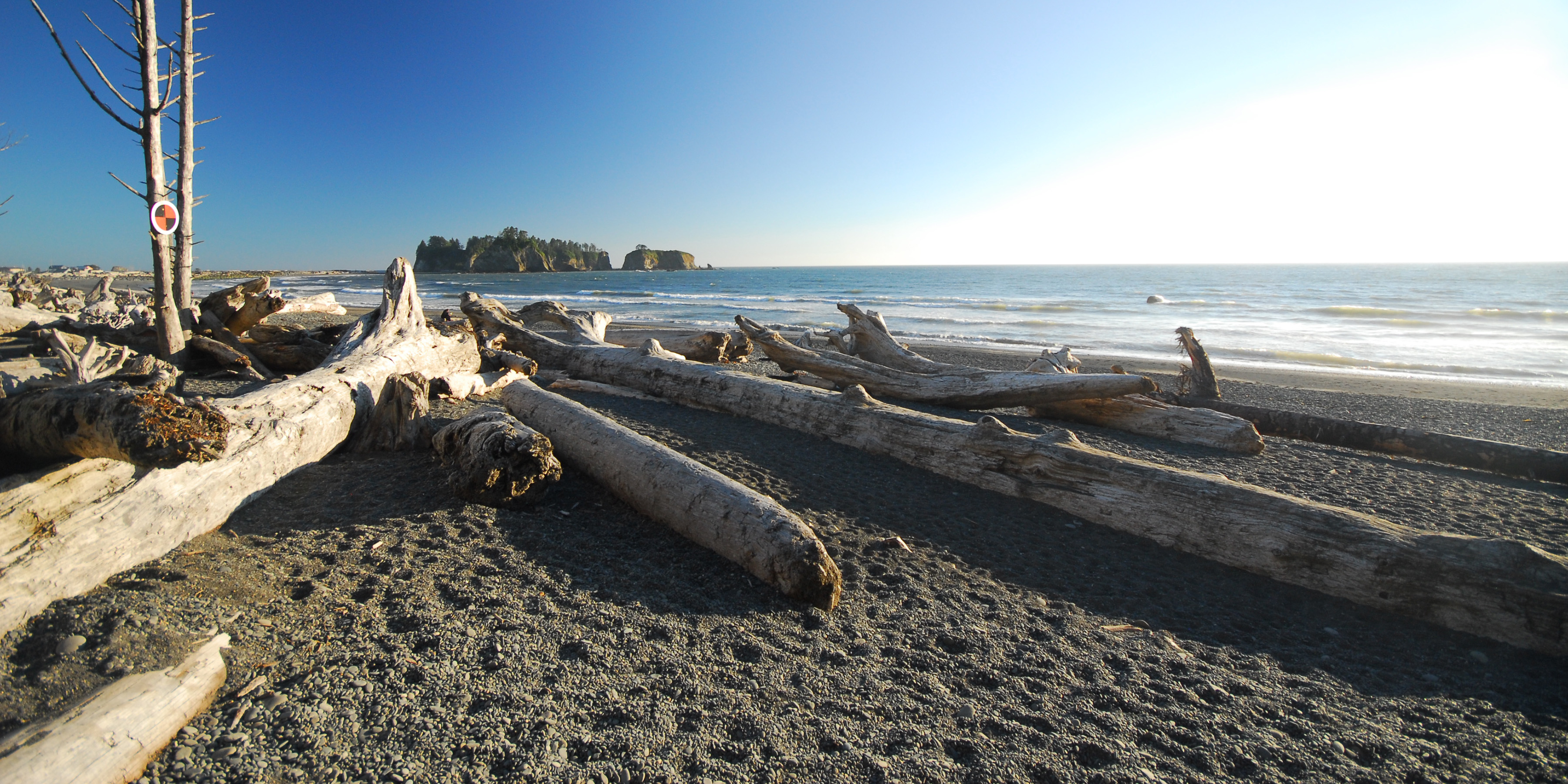 Rialto Beach Olympic National Park Beaches In Washington