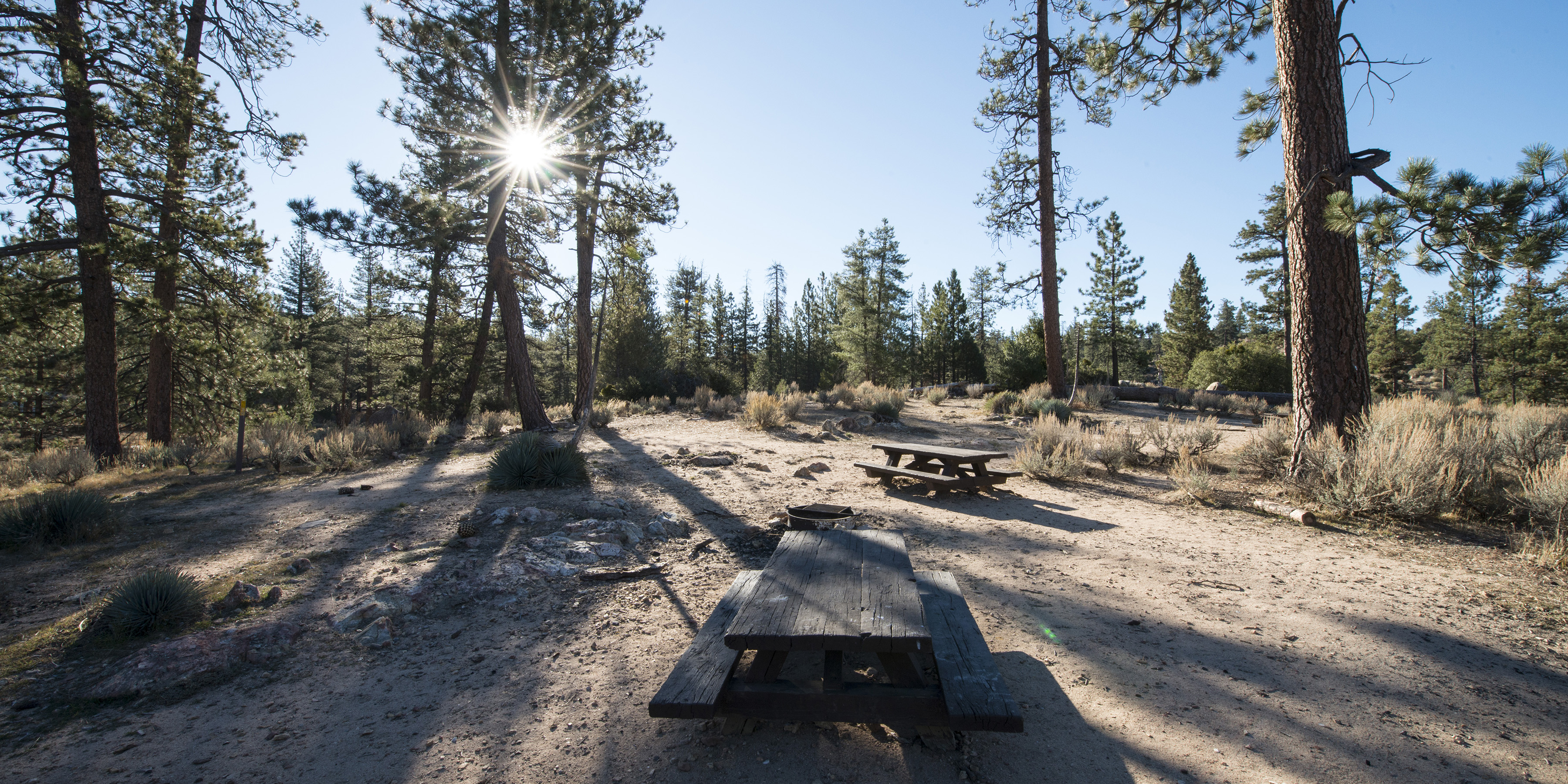 Meadow Group Campground - Angeles National Forest, San Gabriel 