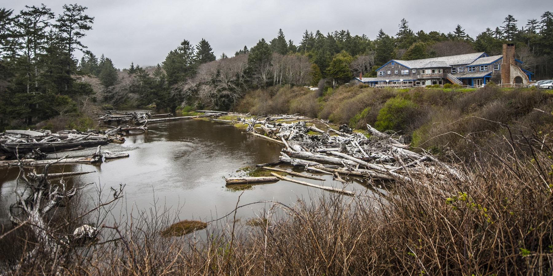 Kalaloch Lodge + Cabins - Olympic National Park - Lodging In Washington