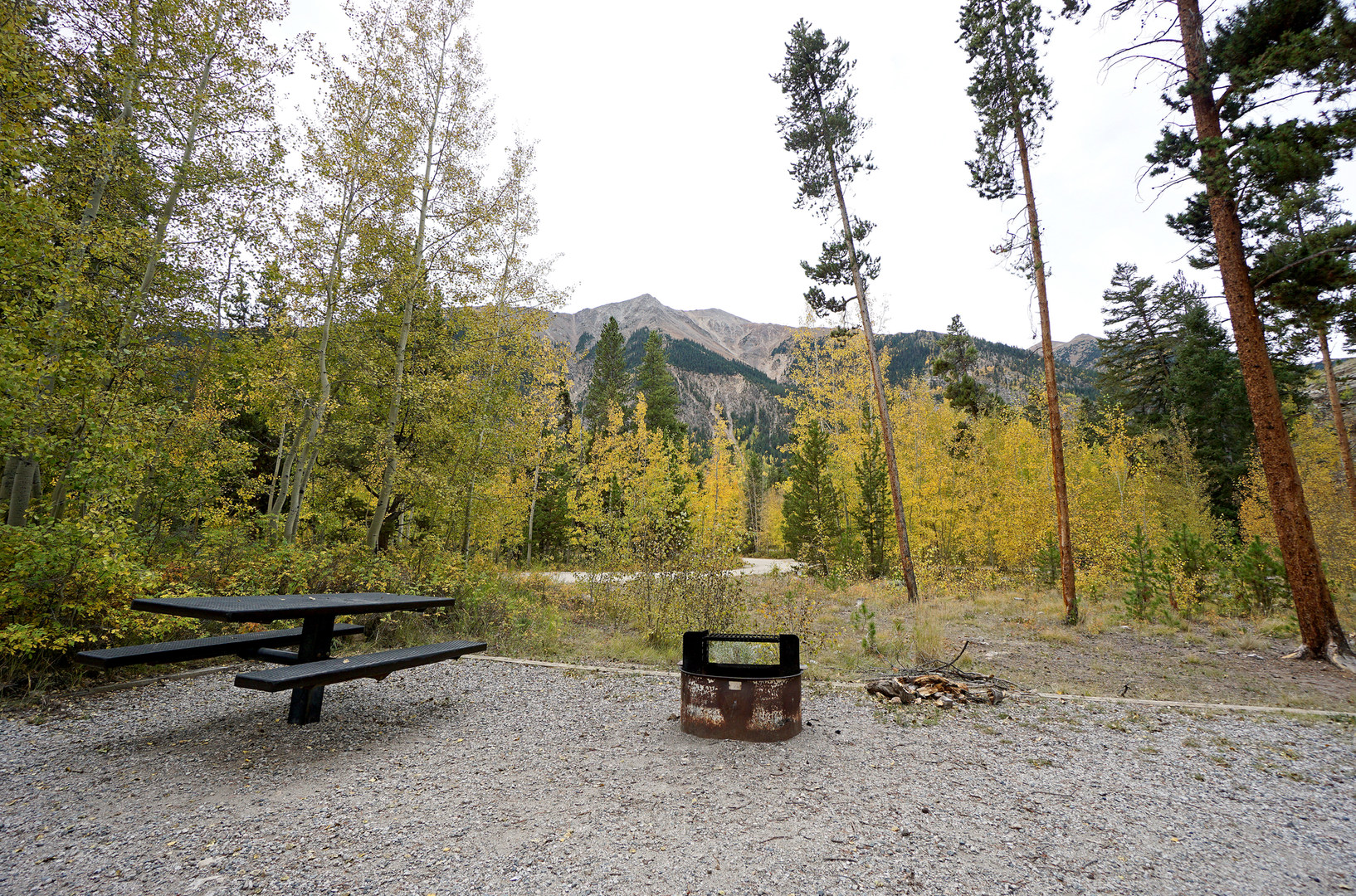 Escape to the Peaks: Your Guide to Parry Peak Campground in Colorado