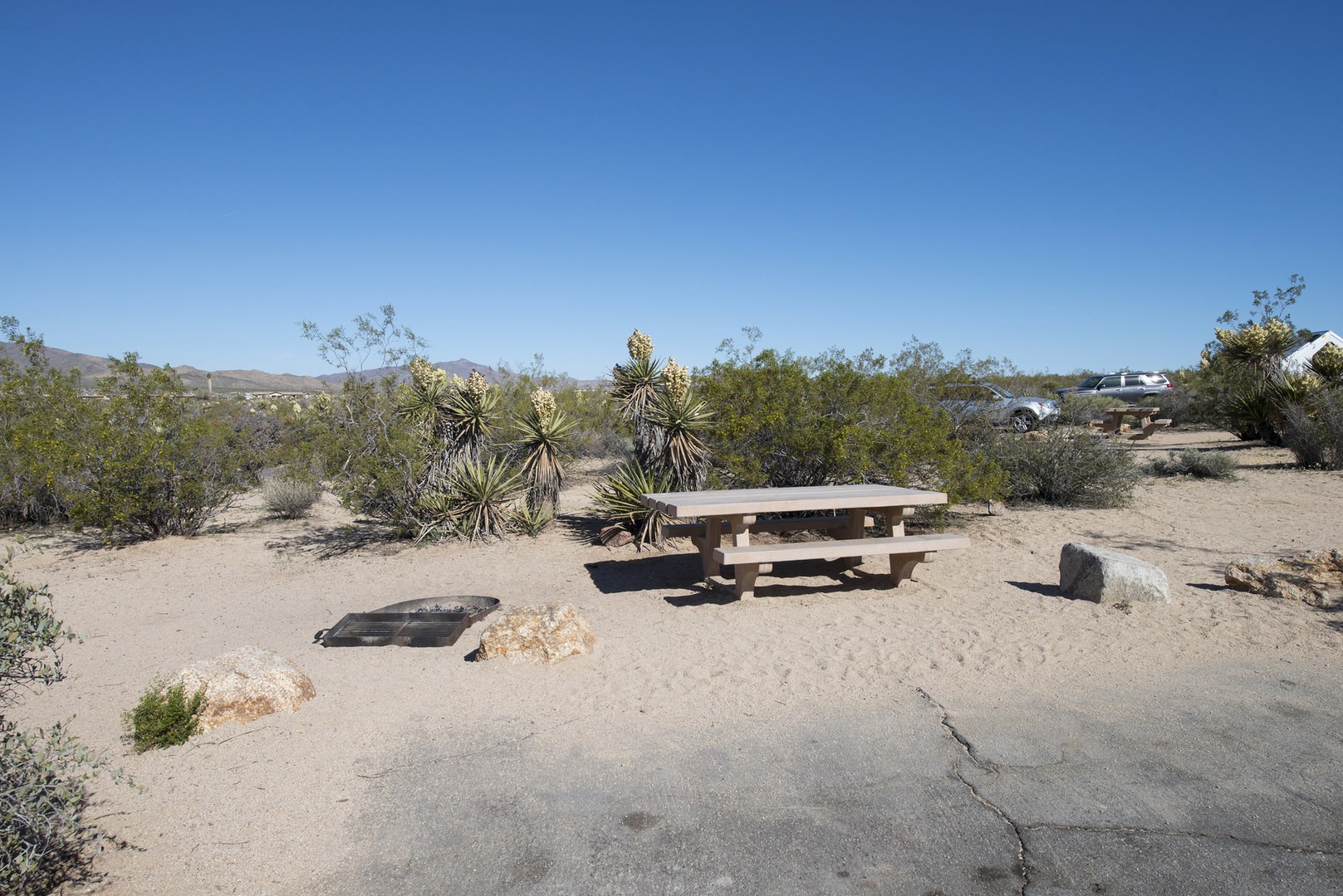 Cottonwood Campground Joshua Tree National Park camping in California