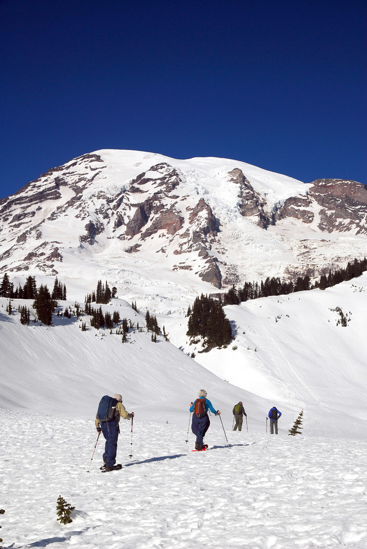 Winter In Mount Rainier National Park - Outdoor Project