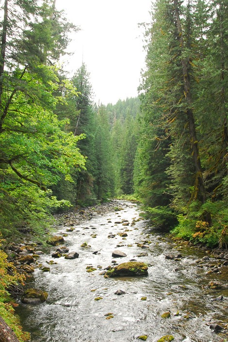 National Forest + Grasslands 