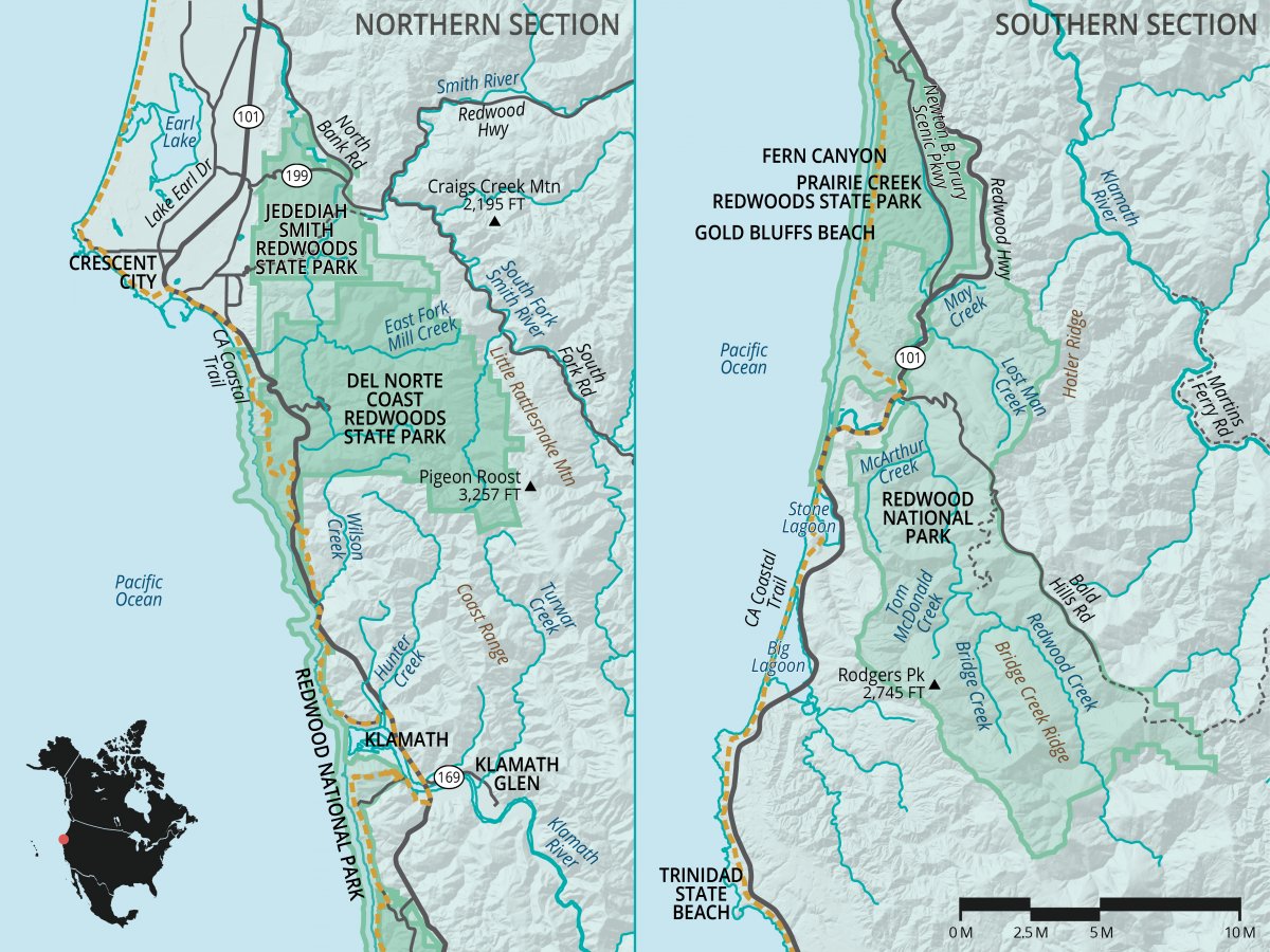 Redwood National + State Parks | Outdoor Project