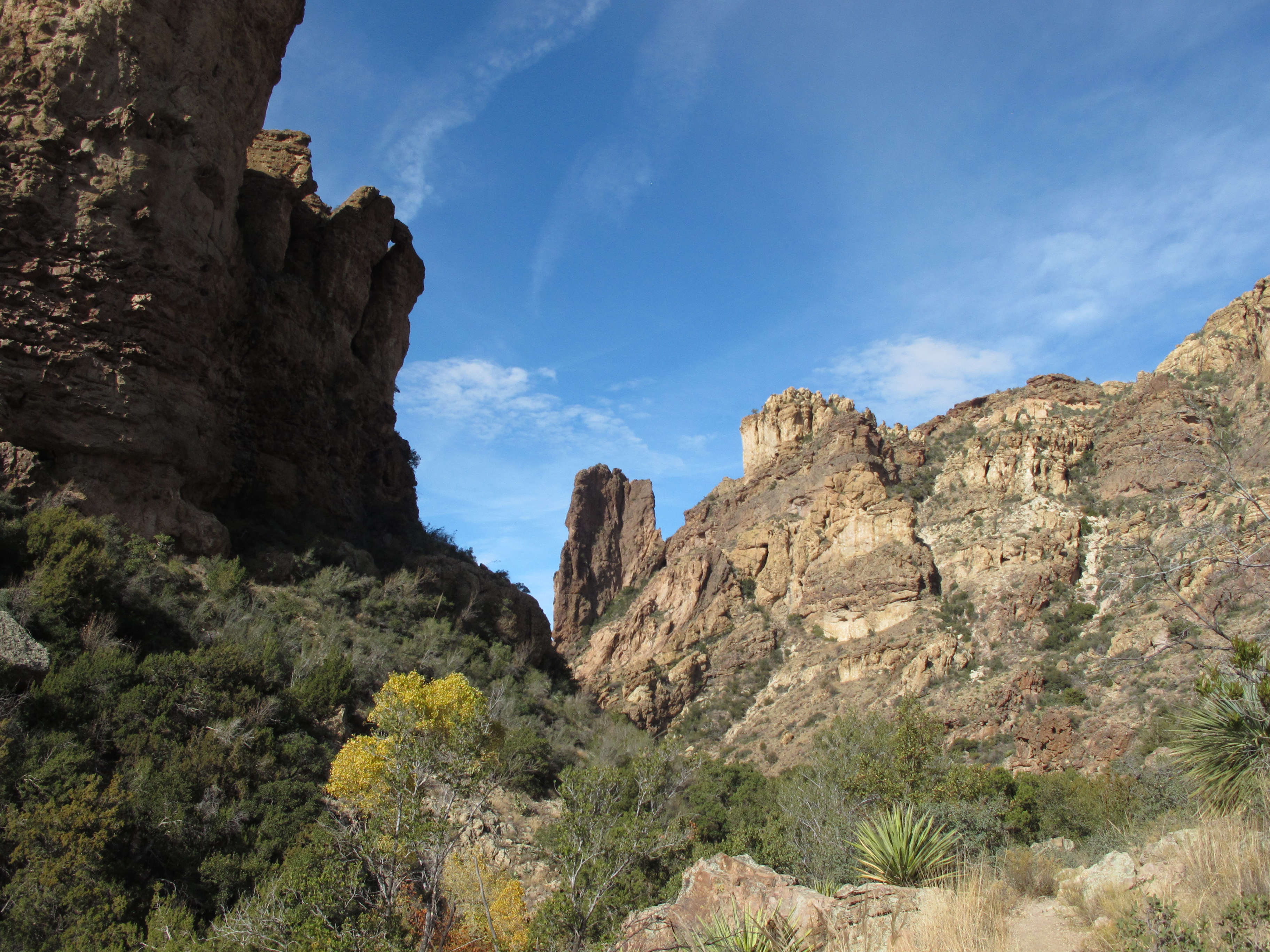 Seven Largest National Forests - Outdoor Project