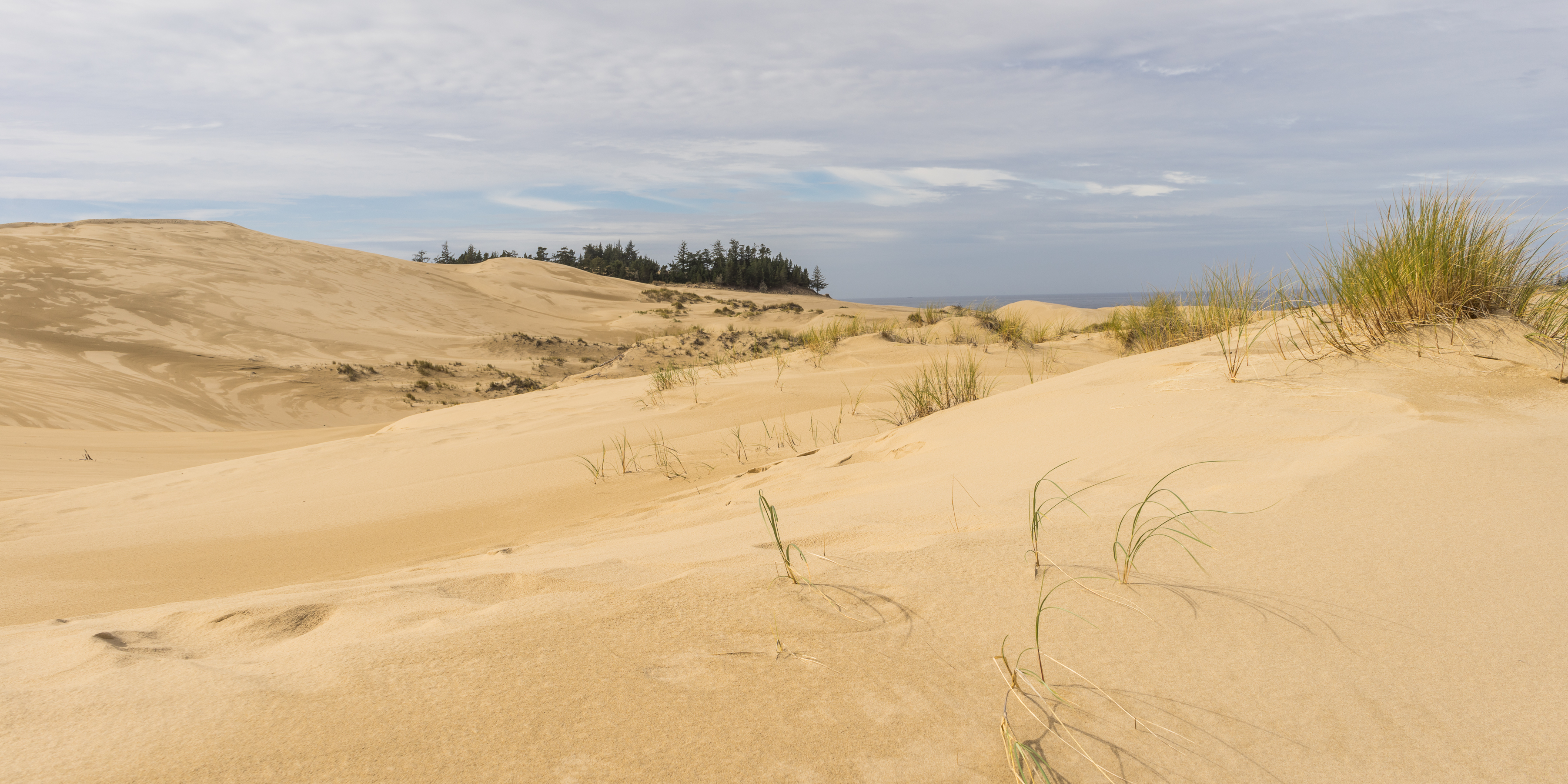 BLOG: Complete Guide to Oregon Sand Dunes - Bay Point Landing