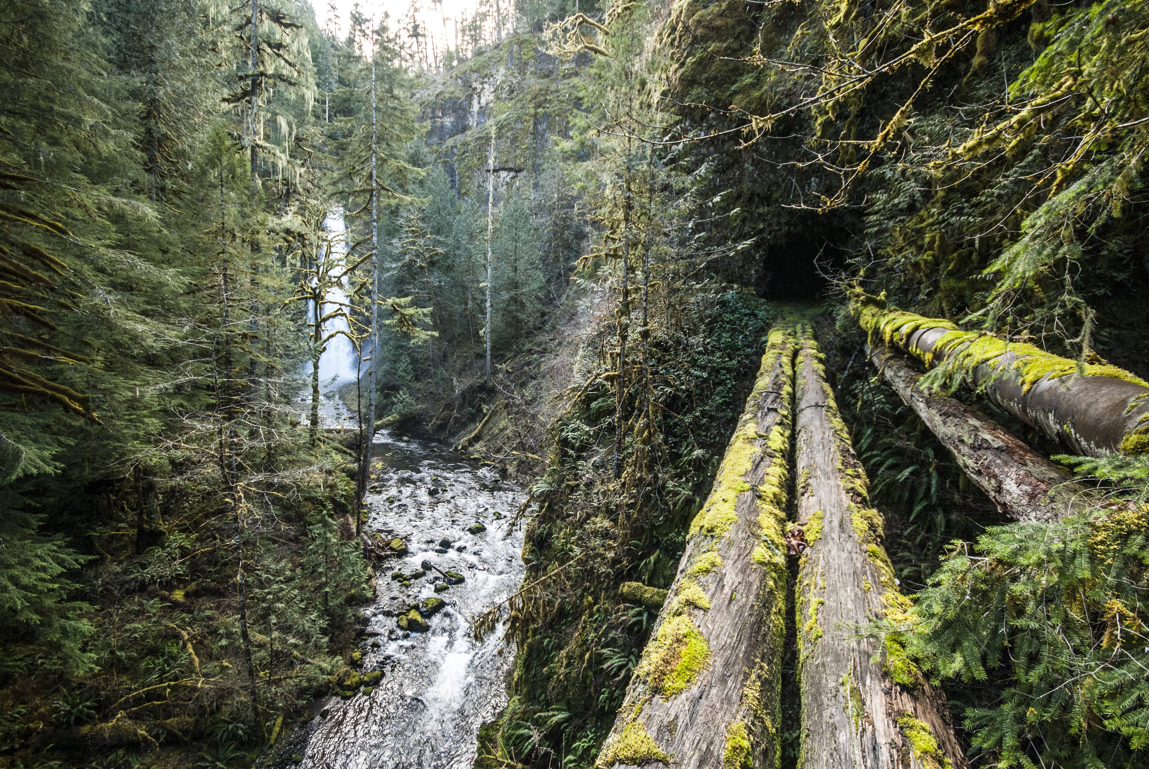 Clackamas + Memaloose Falls - Mount Hood National Forest - hiking in Oregon