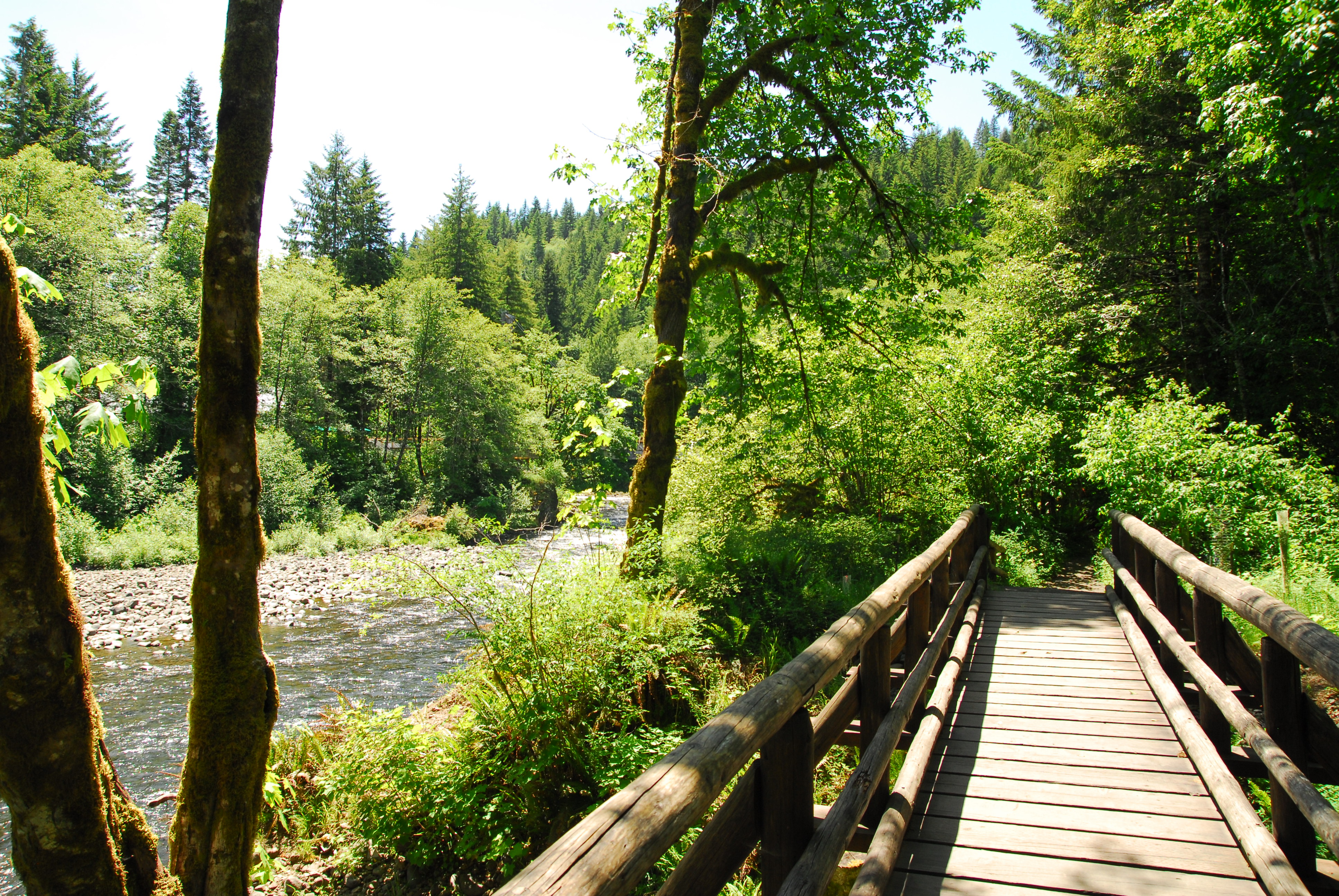 Jones Creek Campground - Tillamook State Forest - camping in Oregon