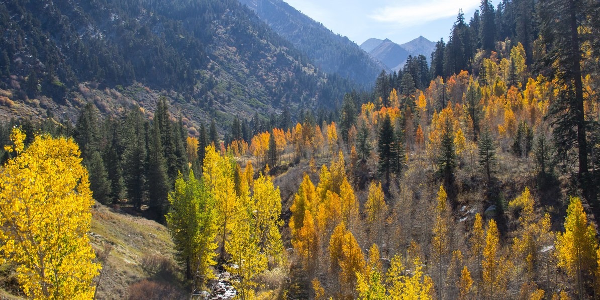 The West's Best Hikes for Fall Colors | Outdoor Project