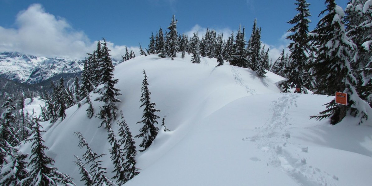 35 Amazing Snowshoe Trails in Washington Outdoor Project