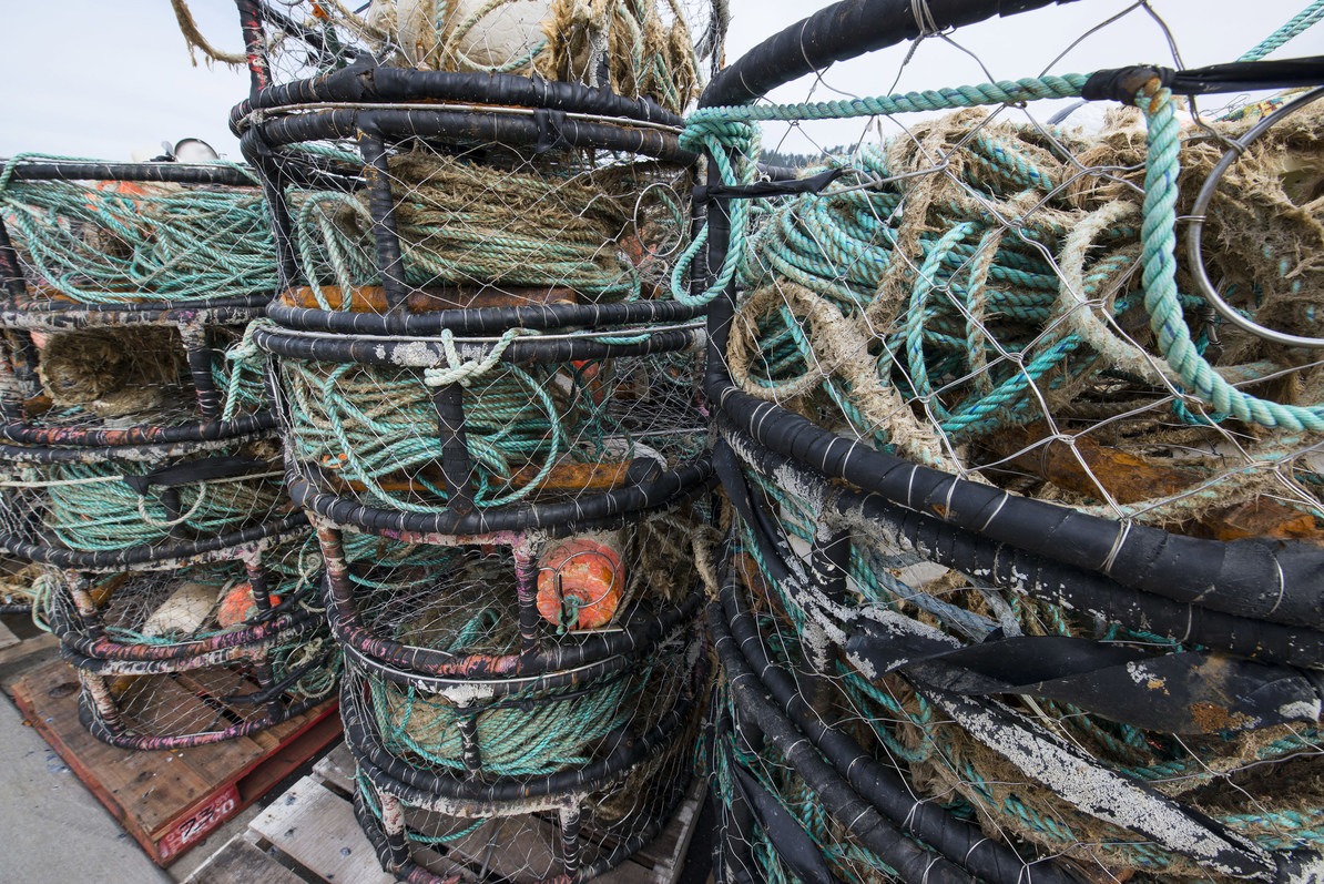 5 Best Crabbing Locations on the Oregon Coast Outdoor Project