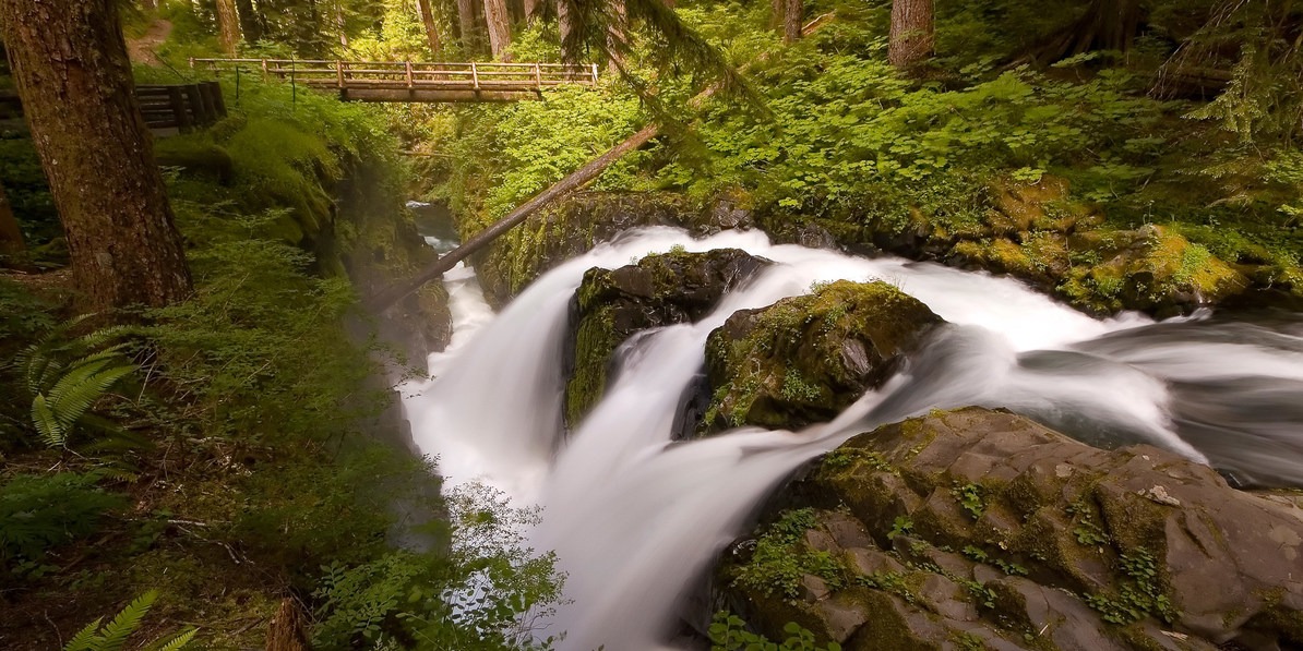 Washington's 80 Best Day Hikes | Outdoor Project