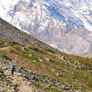 Mount Rainier's 7 Best Day Hikes | Outdoor Project