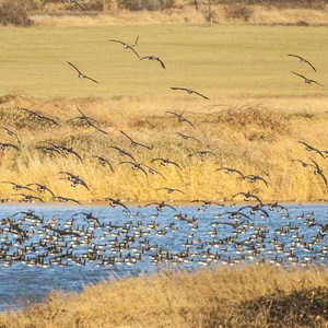 National Wildlife Refuge System | Outdoor Project