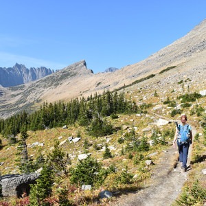 Gunsight Pass Trail | Outdoor Project