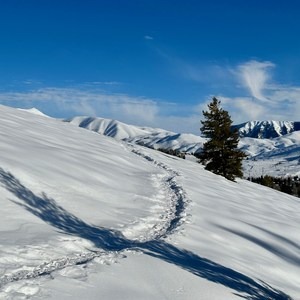 Snowshoeing + Microspikes | Outdoor Project