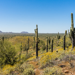 15 Must-Do Hikes Near Phoenix, AZ | Outdoor Project