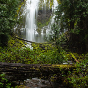 Oregon's Best Winter Waterfalls 