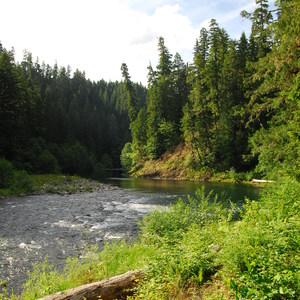 Alder Flats Hike + Campsites | Outdoor Project