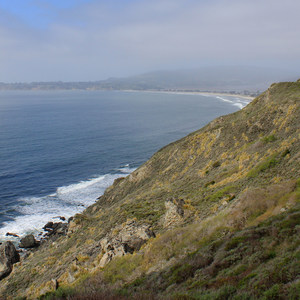 Steep Ravine Trail to Dipsea Trail Loop | Outdoor Project