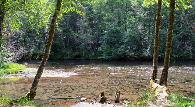 Toketee Lake Campground 