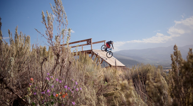 Vélo de montagne du Parc Trailside