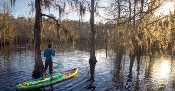 Chicot state park hiking hot sale