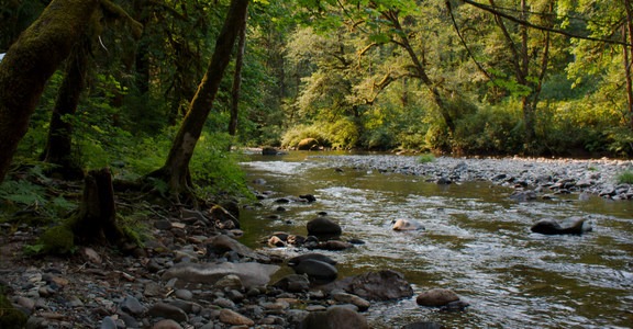 Cascadia State Park | Outdoor Project