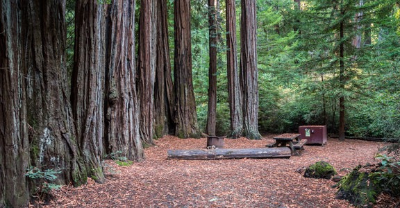 Alder Trail Camp Outdoor Project