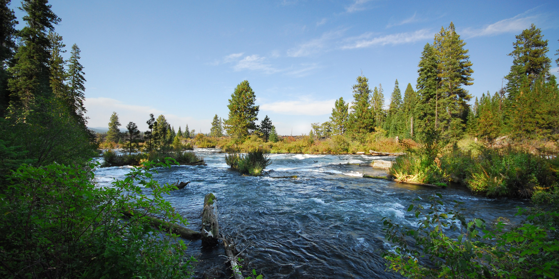 Deschutes River Trail, Upper Reach Hiking Trail | Outdoor Project