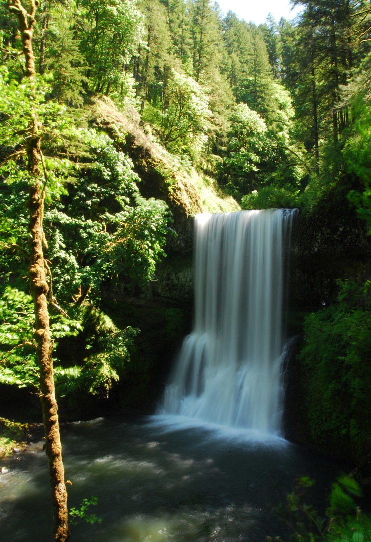 Silver Falls, Trail of 10 Falls | Outdoor Project