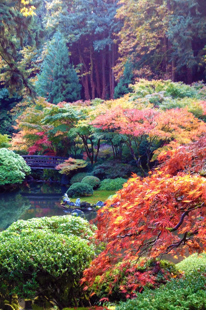 Portland Japanese Garden | Outdoor Project