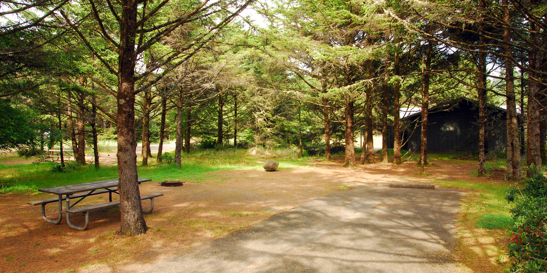 Cape Disappointment Campgrounds A, B + C | Outdoor Project