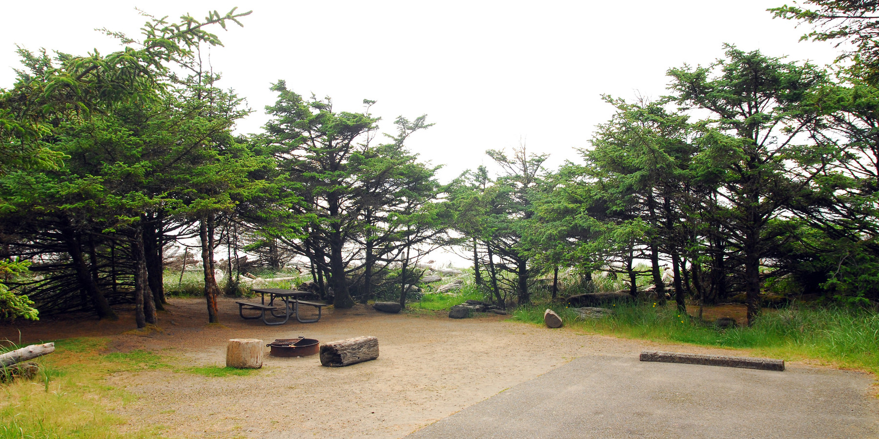 Cape Disappointment Campgrounds A, B + C | Outdoor Project