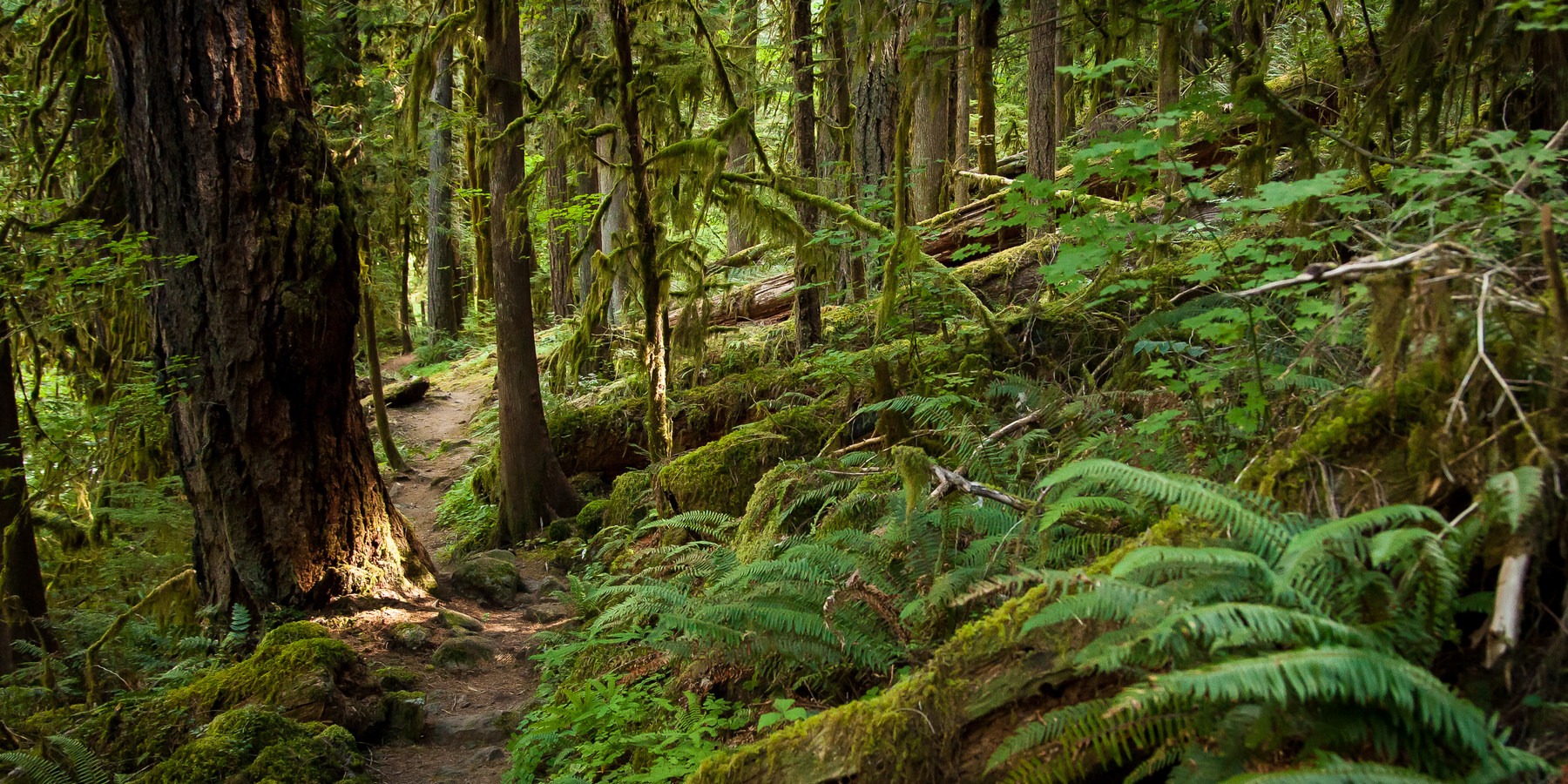 Fall Creek Trail Hike | Outdoor Project