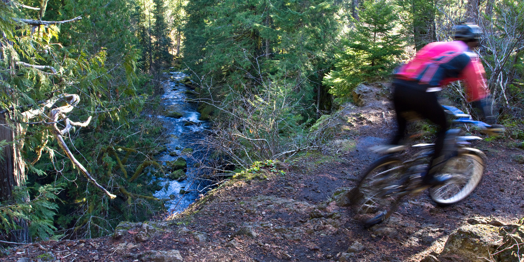 McKenzie River Trail | Outdoor Project