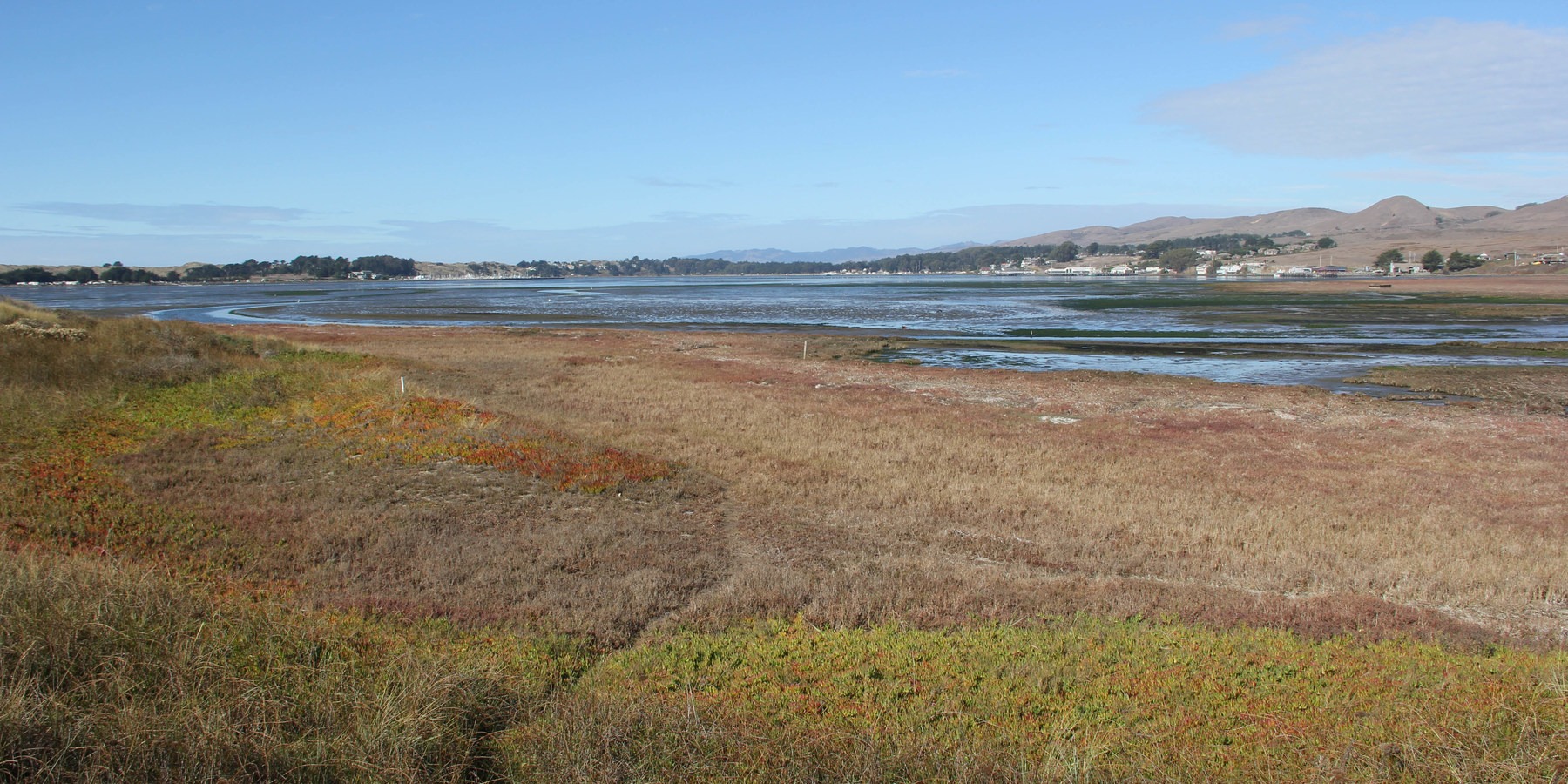 Doran Beach Campground | Outdoor Project