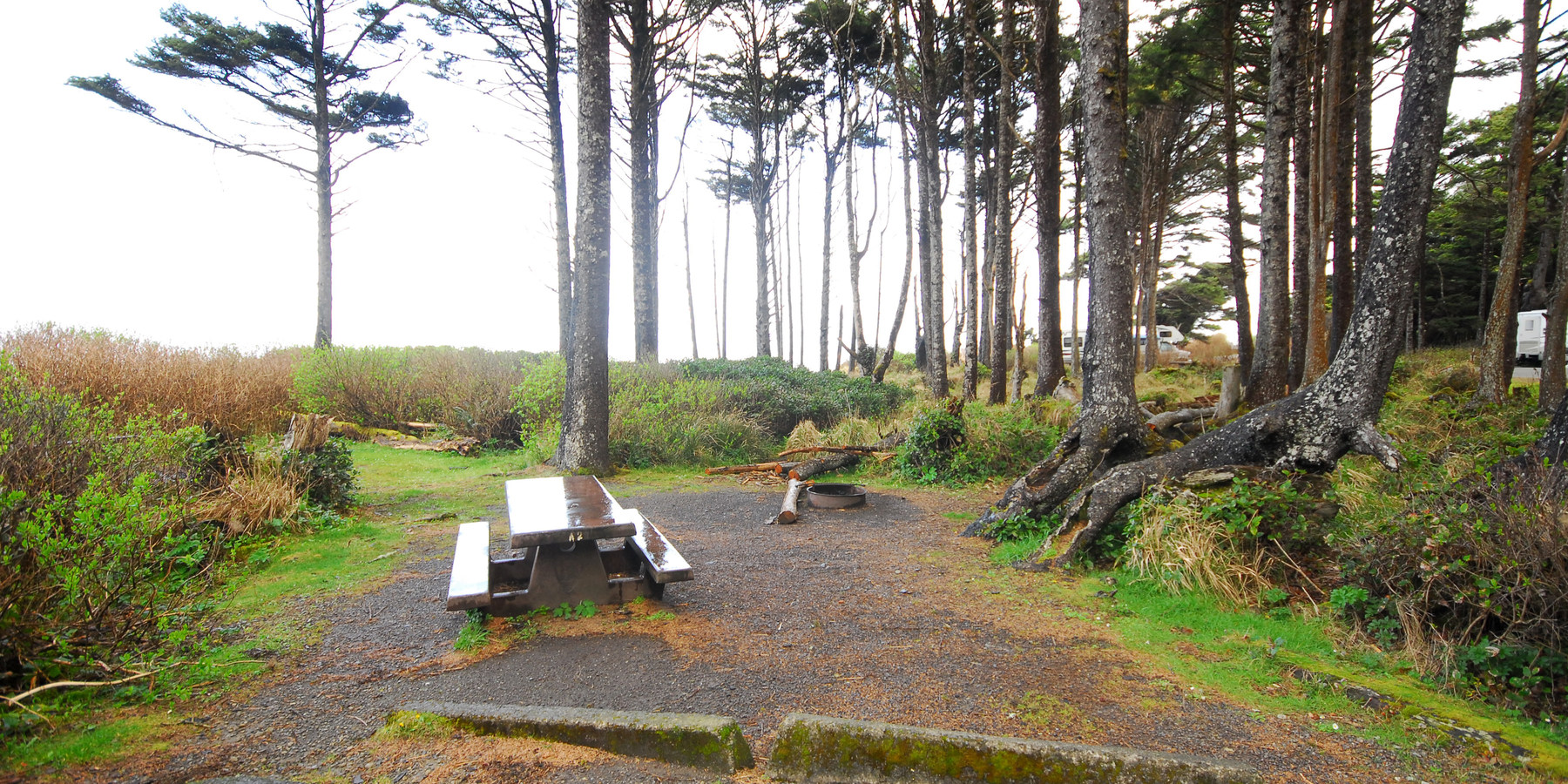 Kalaloch Campground Outdoor Project   Dsc 0087 