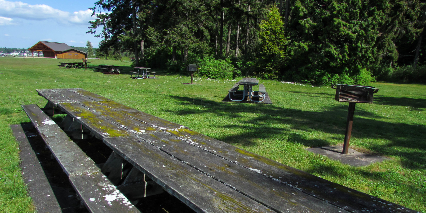 Birch Bay State Park Campground | Outdoor Project