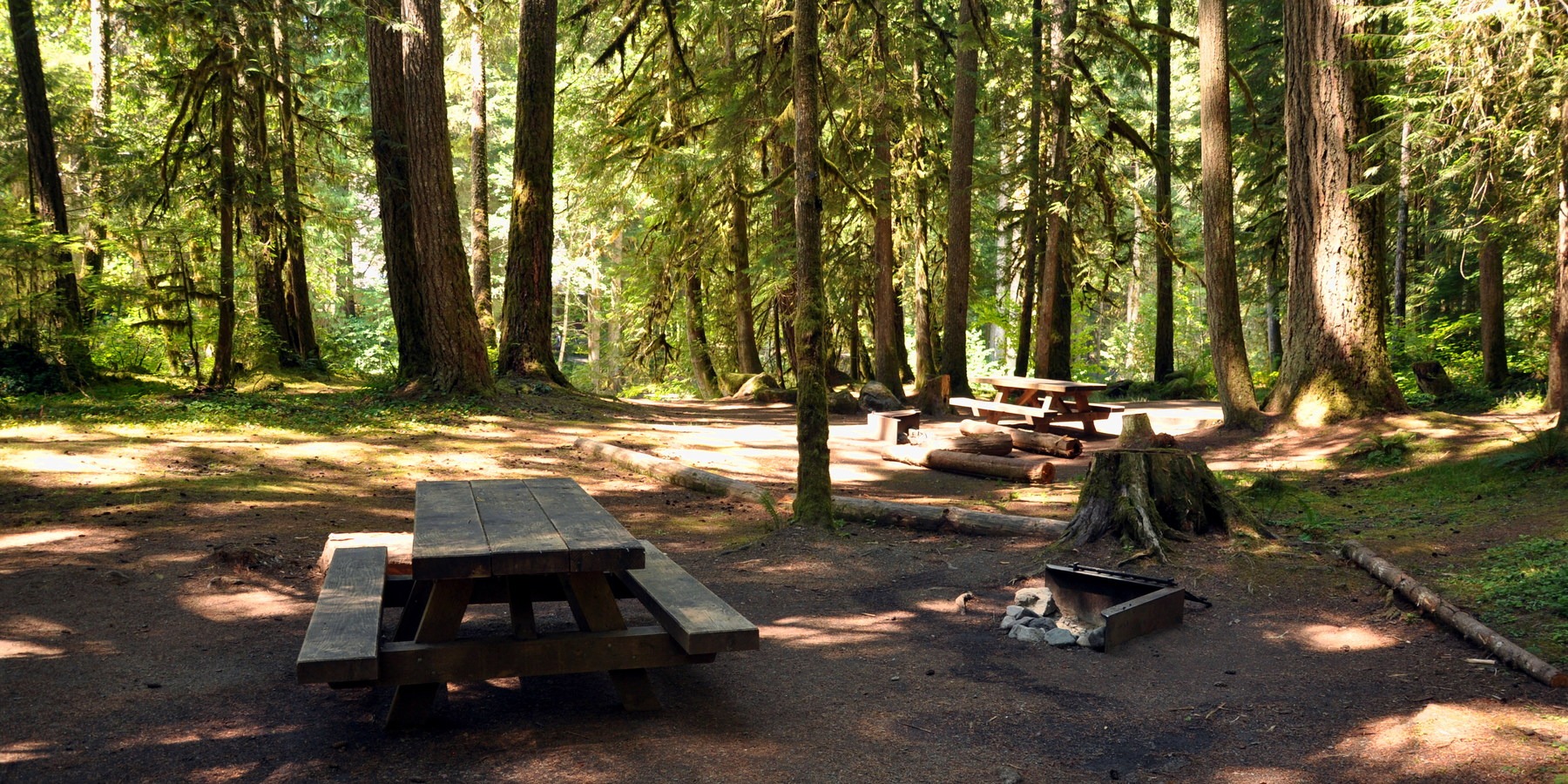 Douglas Fir Campground | Outdoor Project