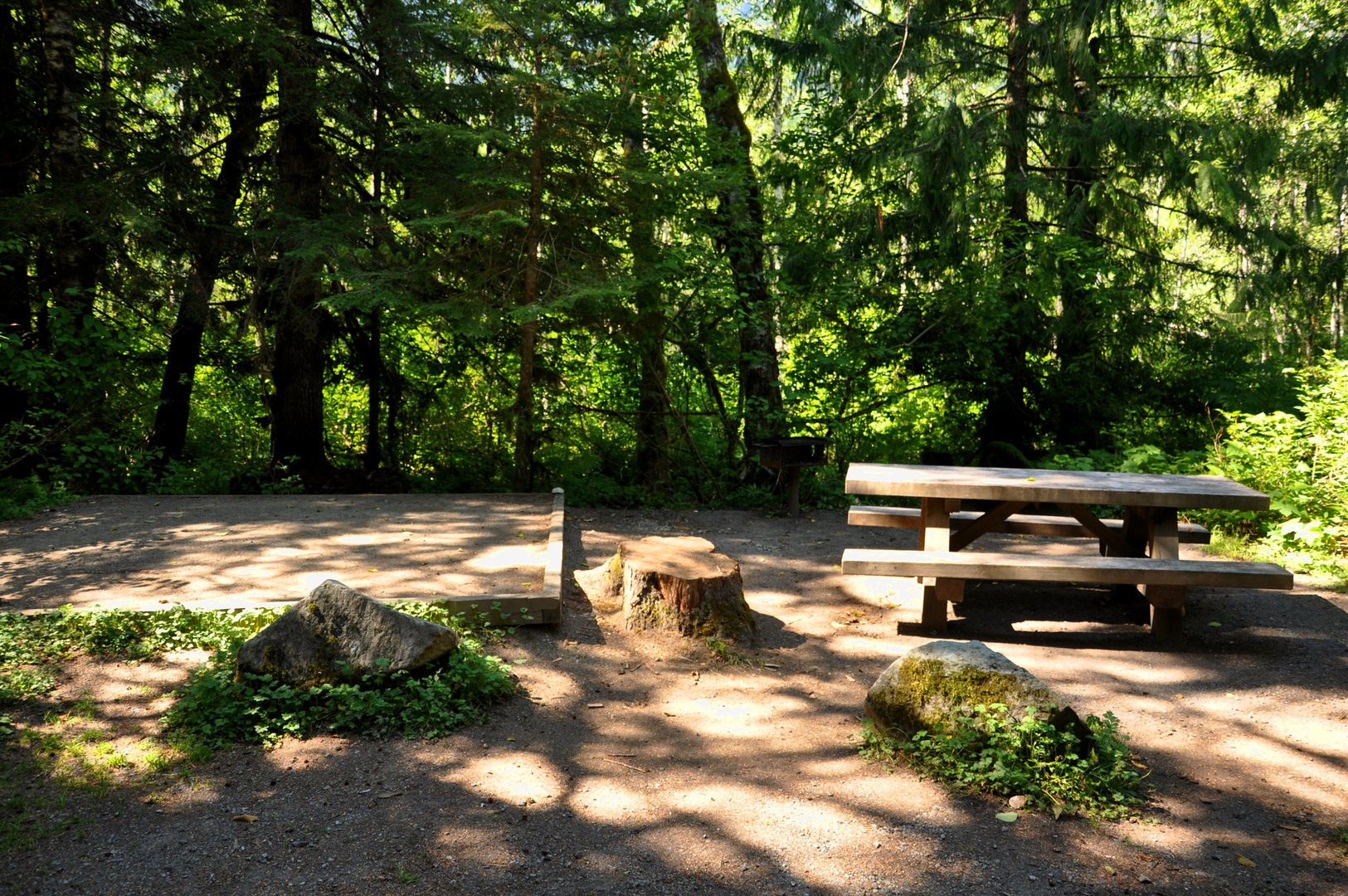 Silver Fir Campground | Outdoor Project