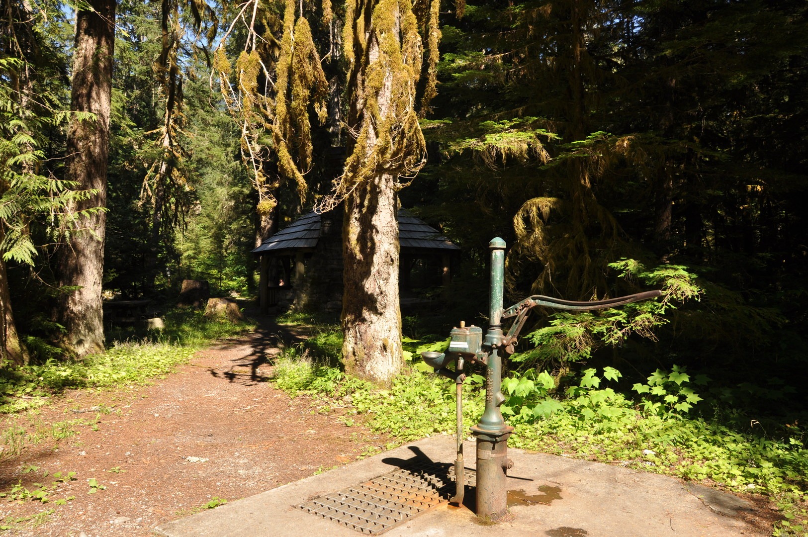 Silver Fir Campground | Outdoor Project