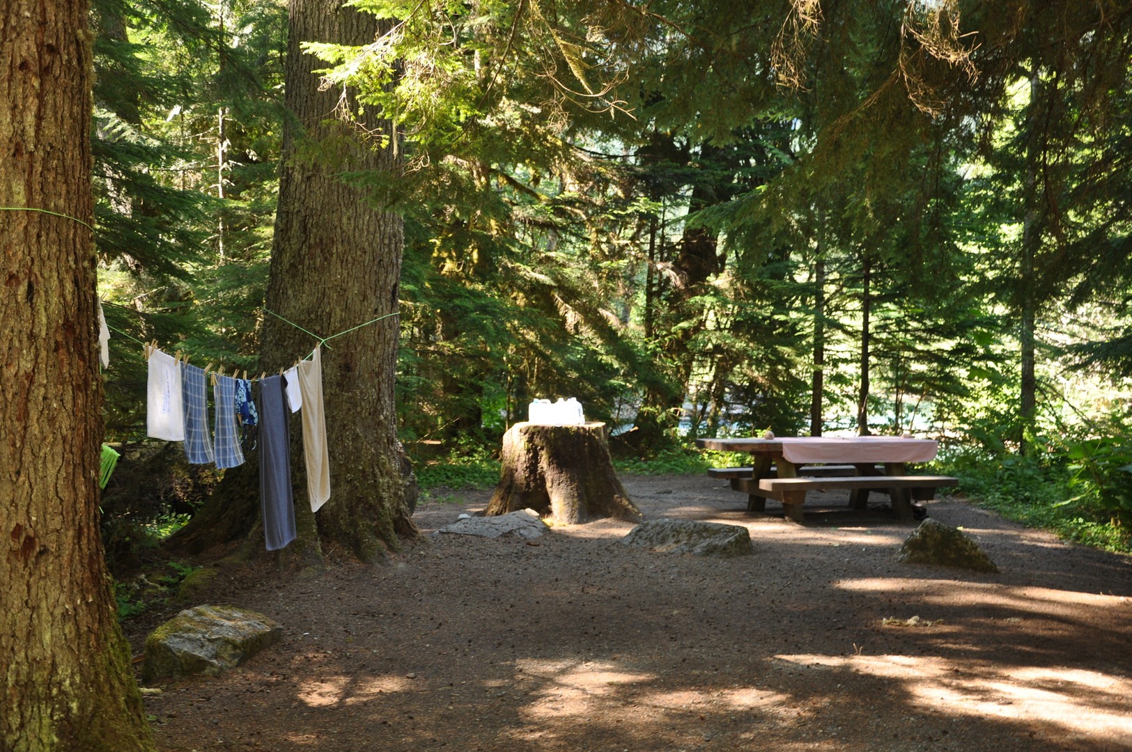 Silver Fir Campground | Outdoor Project