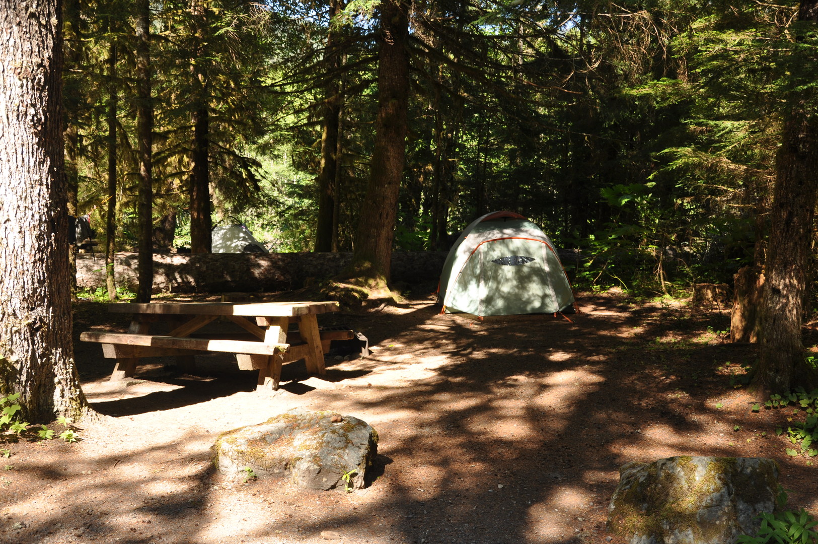 Silver Fir Campground | Outdoor Project