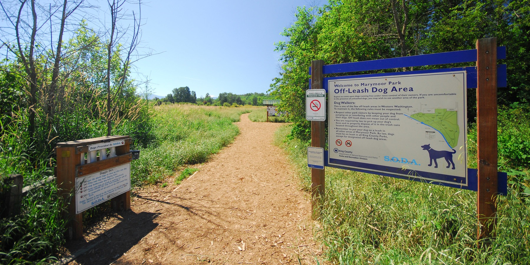 marymoor park bike trail