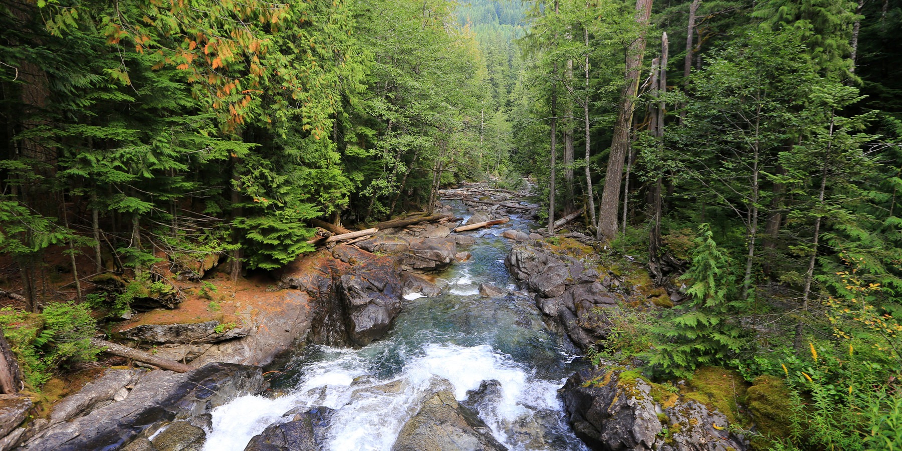 Deception Falls Interpretive Trail | Outdoor Project