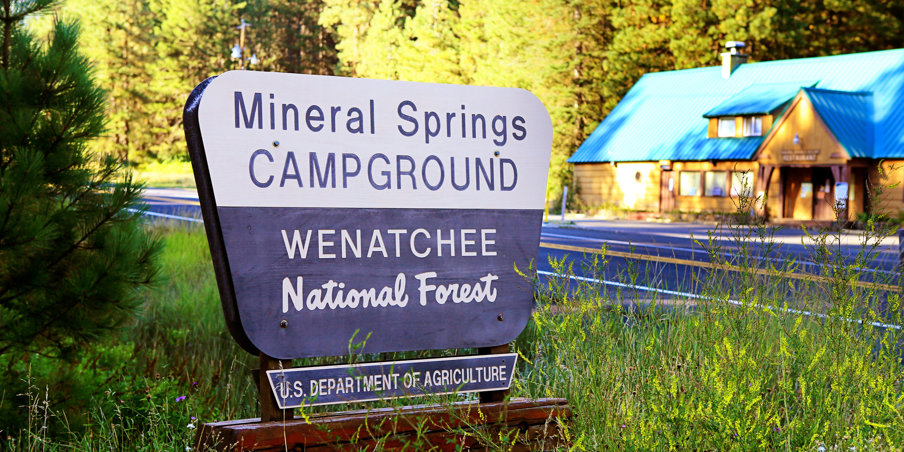 mineral springs campground        
        <figure class=